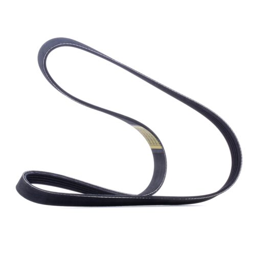 RIDEX V-ribbed belt AUDI,MERCEDES-BENZ,OPEL 305P0034 079903137AB,11281401159,64552248190 5750TA,95006268,2110000000000,2110811409610,2110811409613