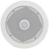 5.25" Ceiling Speaker with Directional Tweeter